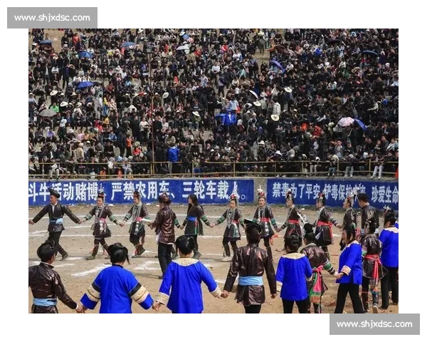 探秘贵州斗牛比赛的民俗魅力与乡村体育文化传承发展现状与时代价值